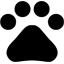 ZWIERZĘTA